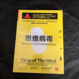 思维病毒：如何在工作与生活中实现思维自由