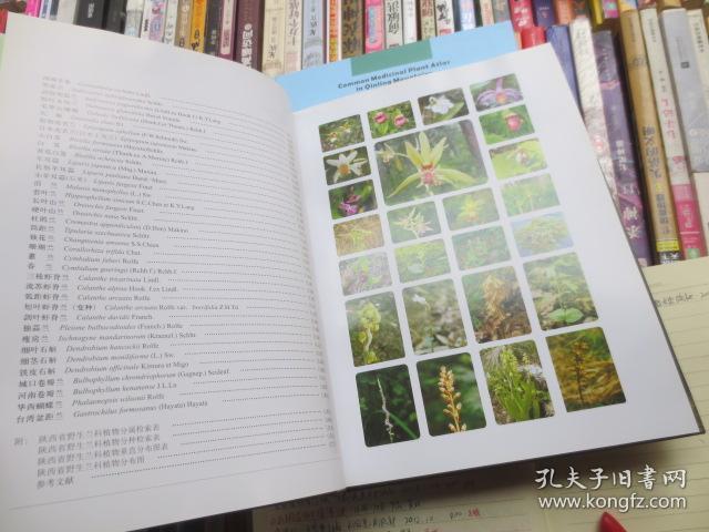 陕西野生兰科植物图鉴【画册】英汉互译