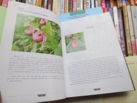 陕西野生兰科植物图鉴【画册】英汉互译