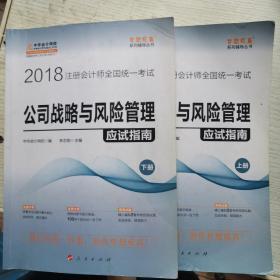 2018注册会计师考试教材 公司战略与风险管理应试指南（上下册） 中华会计网校梦想成真系列辅导丛书