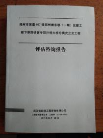 郑州市国道107线郑州境东移（一期）改建工程下穿郑徐客郑汴特大桥分离式立交工程评估咨询报告