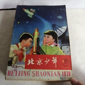 北京少年（时代特色，12册合售）