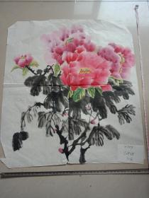 字画，软片（花鸟）50x43cm