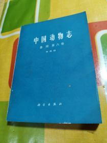 中国动物志  兽纲（第八卷）食肉目
