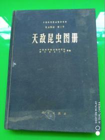 中国科学院动物研究所 昆虫图册 第三号 天敌昆虫图册