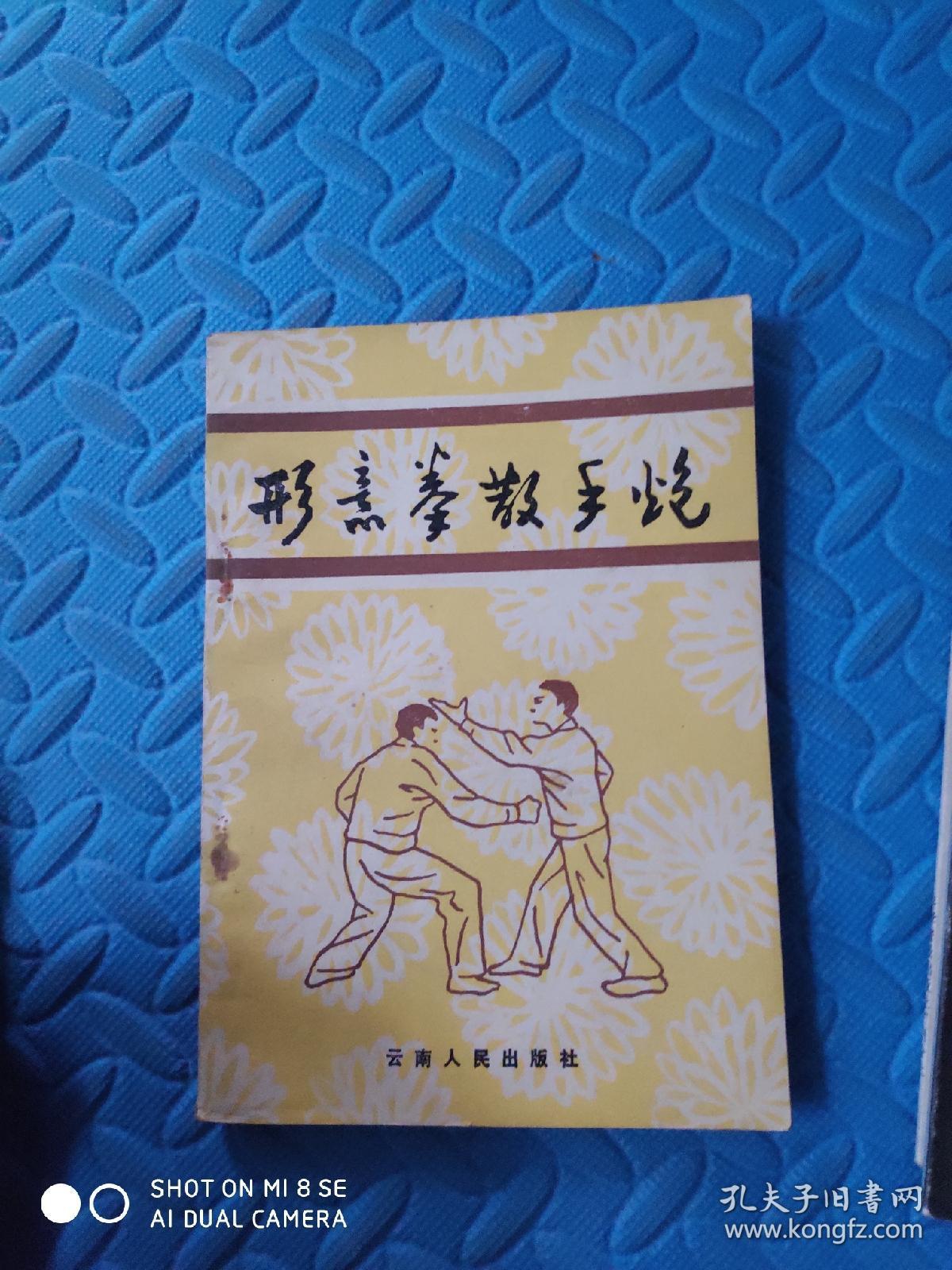 形意拳散手炮