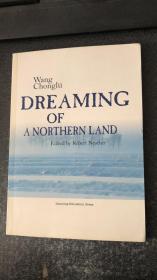 DREAMING OF A NORTHERN LAND