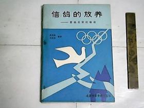 信鸽的放养  一  赛鸽名家经验谈