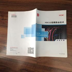 H3C大规模路由技术 试验手册