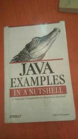 Java Examples in a Nutshell