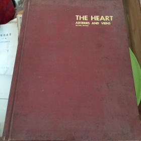 THE HEART ARTERIES AND VEINS 心脏动脉和静脉第二版