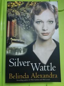 Silver Wattle,by Belinda Alexandra