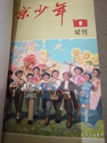 北京少年（合订本）1972年1973年