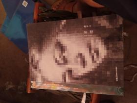 中国艺术研究院中青年艺术家系列展作品集：镜中人 潘缨