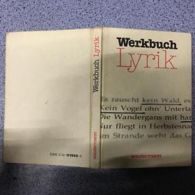 Werkbuch Lyrik    看图