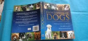 动物百科：狗Encycolpedia of Dogs 1