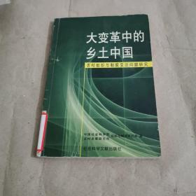 大变革中的乡土中国:农村组织与制度变迁问题研究.