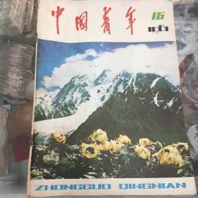 中国青年1981年16期