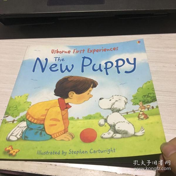 usborne first Experiences the New Puppy
