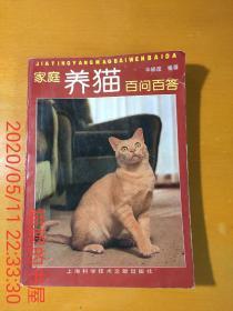 家庭养猫百问百答