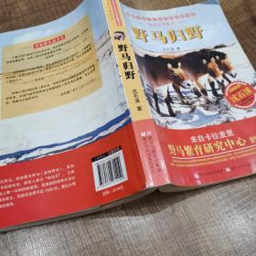 动物小说大王沈石溪品藏书系·生态文学系列：野马归野