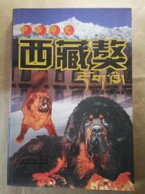 中华神犬 西藏獒