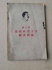 斯大林苏联社会主义经济问题