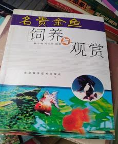 名贵金鱼饲养与观赏