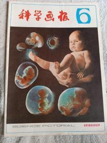 《科学画报》1982年-第6期
