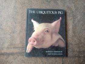 the ubiquitous pig