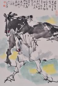 杨宏汉  70*46cm