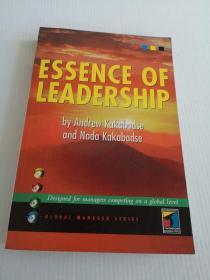 Essence of Leadership