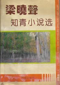 梁晓声知青小说选