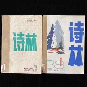 哈尔滨文艺 杂志社《诗林》双月刊季刊合订本1988年1989年计两年全套计10期合售（内容涉及：作品、诗人、评论、诗词、外国诗等）哈尔滨啤酒厂、哈尔滨白酒厂联合联办