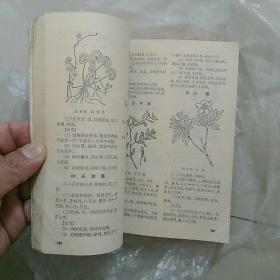 上海中医学院1969第一印《赤脚医生手册》，细节如图，