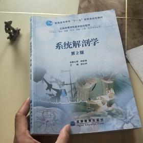 系统解剖学