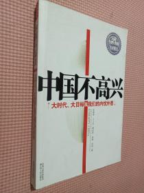 中国不高兴：大时代大目标及我们的内忧外患