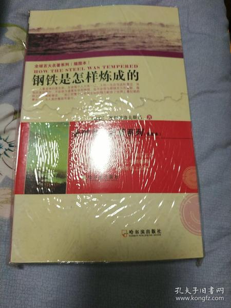 全球百大名著系列：钢铁是怎样练成的（插图本）