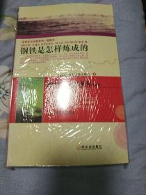 全球百大名著系列：钢铁是怎样练成的（插图本）