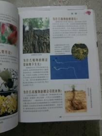 图说十万个为什么 科技文化,天文地理交通,动物植物 三本