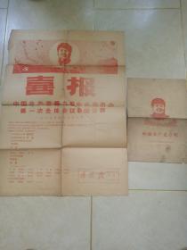 喜报 中国共产党第九届中央委员会第一次全体会议新闻公报  中国共产党章程