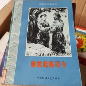 他就是陈司令