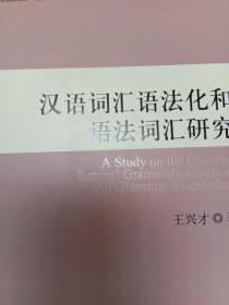 汉语词汇语法化和语法词汇研究—高校社科文库