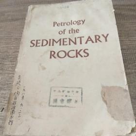 petrology of the igneous rocks