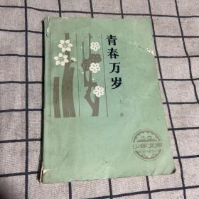 青春万岁（非卖品）