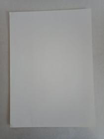 【★★★声明:这个不是冲洗照片,而是印刷图片。为免争议,请下拍前咨询】【新华社拍摄展览用印刷图片】1960年3月18日,毛主席在浙江杭州饭店接见尼泊尔王国首相柯拉腊和夫人及随行人员老照片1张。