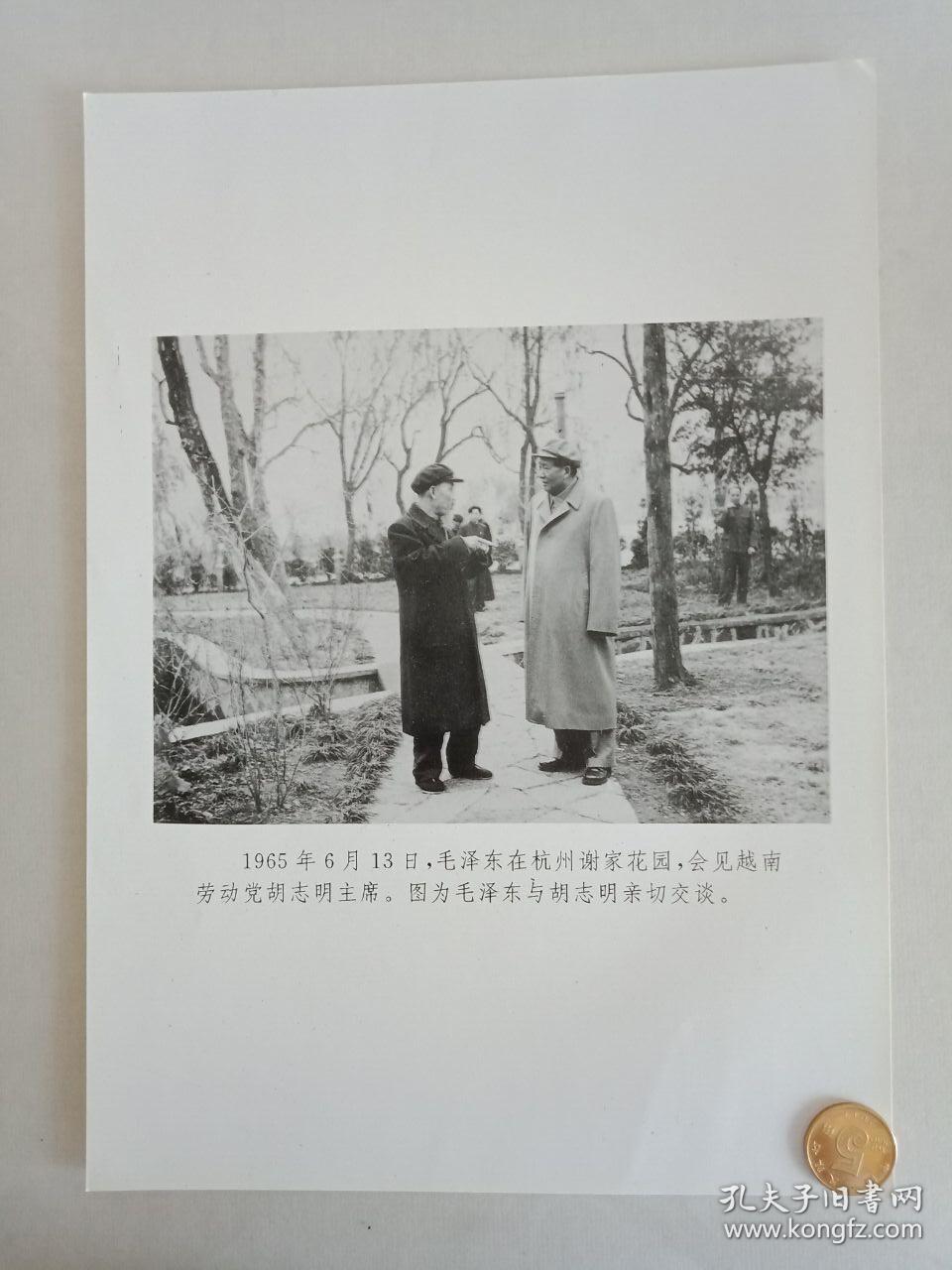 【★★★声明：这个不是冲洗照片，而是印刷图片。为免争议，请下拍前咨询】【新华社拍摄展览用印刷图片】1965年6月13日，毛主席在浙江杭州谢家花园会见越南劳动党胡志明主席，此为毛主席与胡志明亲切交谈老照片1张。