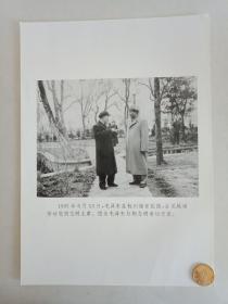 【★★★声明：这个不是冲洗照片，而是印刷图片。为免争议，请下拍前咨询】【新华社拍摄展览用印刷图片】1965年6月13日，毛主席在浙江杭州谢家花园会见越南劳动党胡志明主席，此为毛主席与胡志明亲切交谈老照片1张。