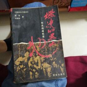 燃烧的黑土地:东北抗战纪实