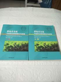 耕地重金属污染防治管理理论与实践（套装上下册）